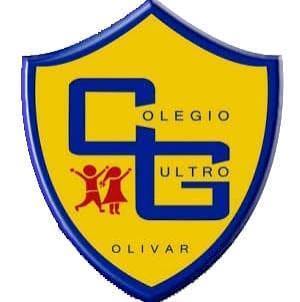 educacion.colegiogultro.cl